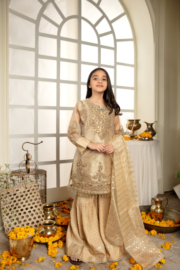 AL 3229K – Kids Wedding Collection