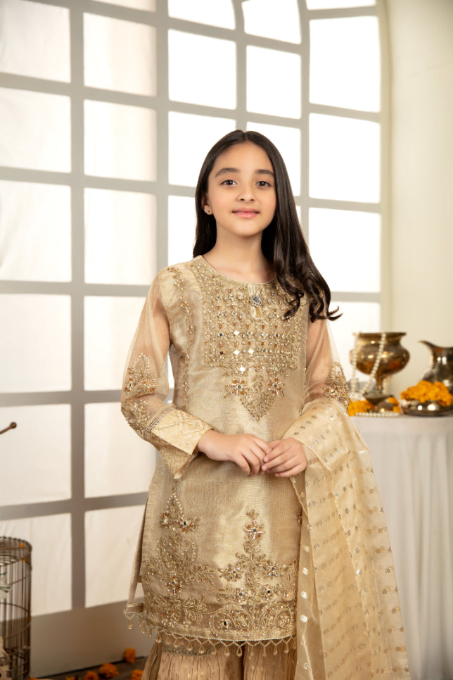 AL 3229K – Kids Wedding Collection