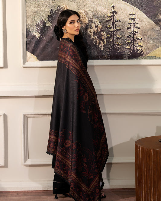 Embroidered Dhanak Chikankari DNK 39
